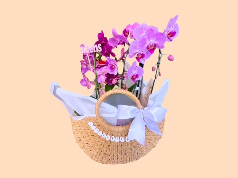 Orquídeas