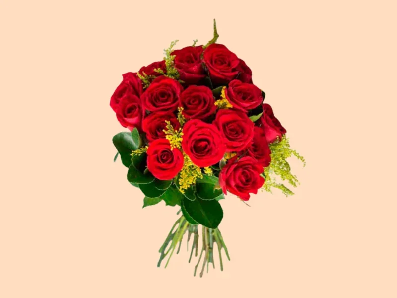 12 Rosas Nacionais