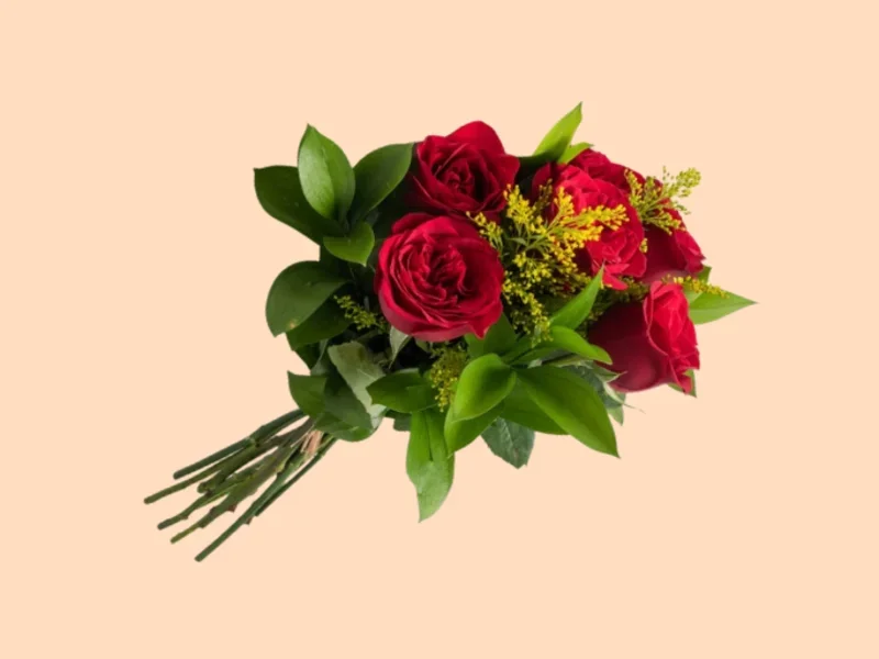 6 Rosas Nacionais