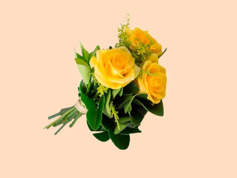 3 Rosas Amarelas