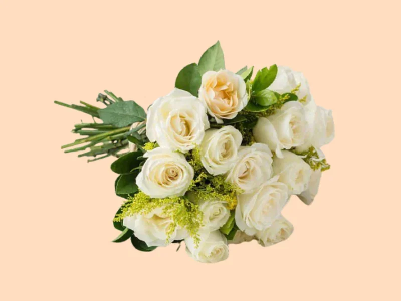 12 Rosas Brancas