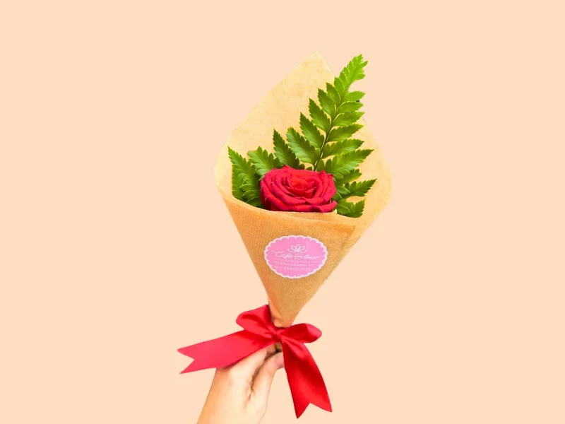 Rosa Vermelha Cone