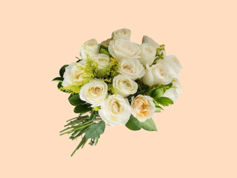 Pura Delicadeza