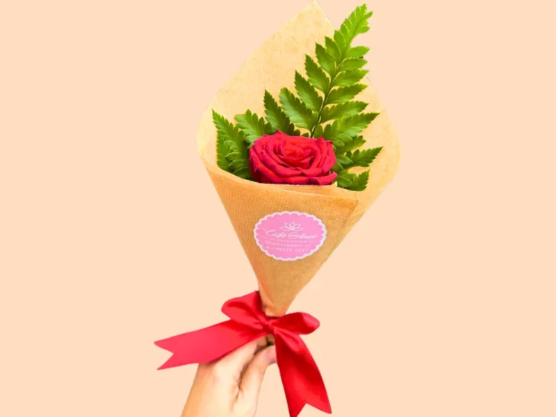 Rosa Cone